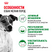Cухой корм Royal Canin Mini Adult (МИНИ ЭДАЛТ) 8 кг
